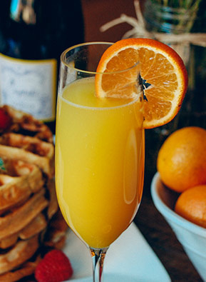 Winter Clementine Mimosa