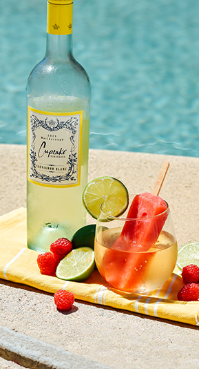 Raspberry Lime Poptail