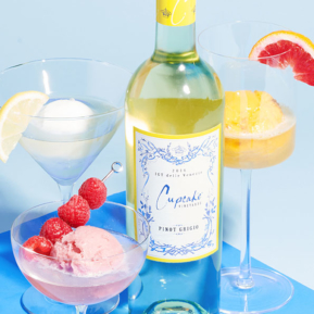 Cupcake Sorbet Float